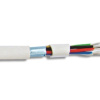 10af50-kt-1.jpg